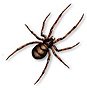 pest control goa